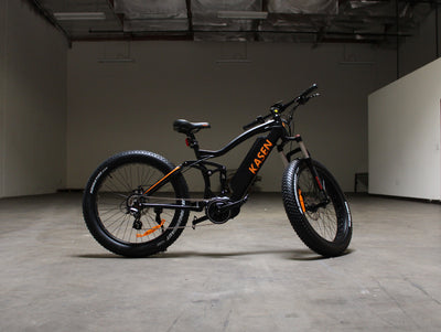 The New Decade for eBikes 2020