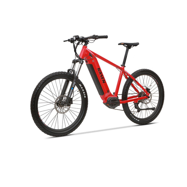 ebike 