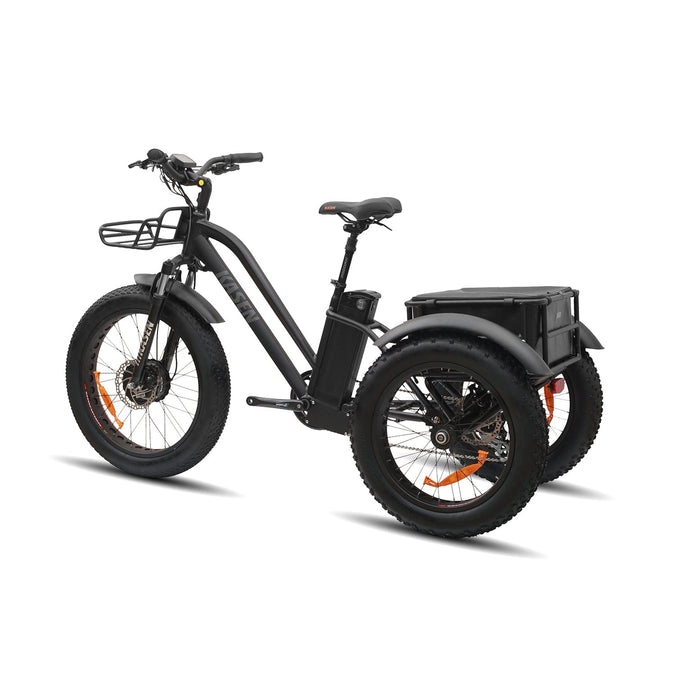 trike for senior 