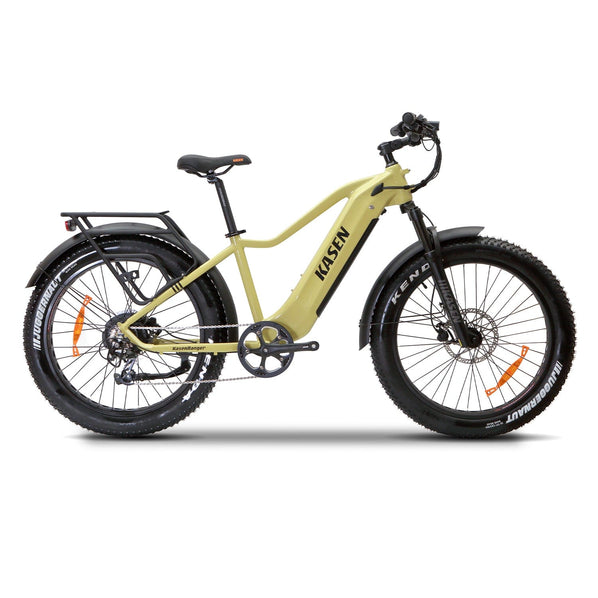 1000w fat tire electric bike