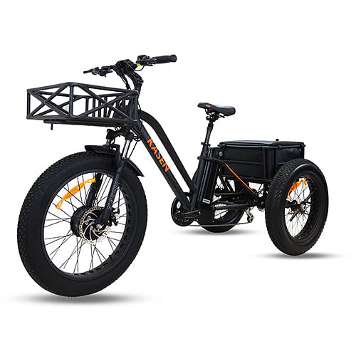 electric trike for adult