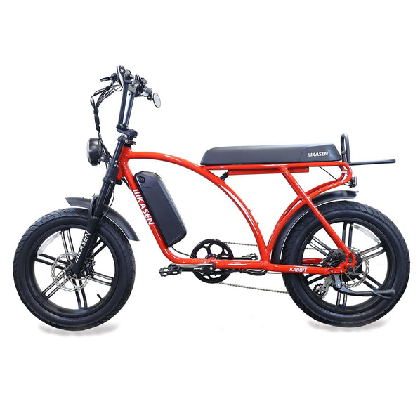 Kabbit Plus Ebike