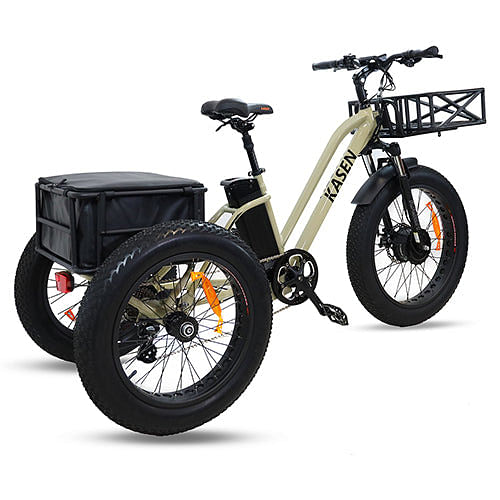 buy now pay later electric trike